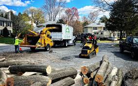 Artificial Turf Installation in Menlo Park Terrace, NJ